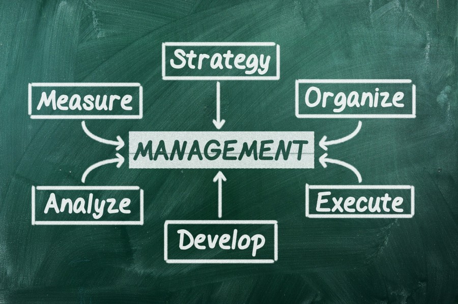 Organizational Consulting | Business Development and Strategies | Effective management