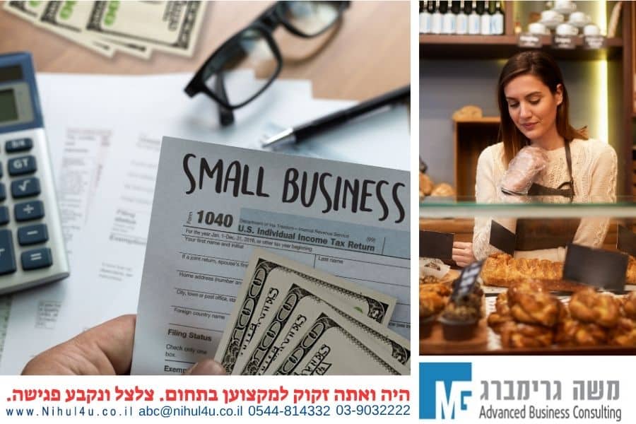 ייעוץ עסקי לעסקים קטנים: היתרונות?