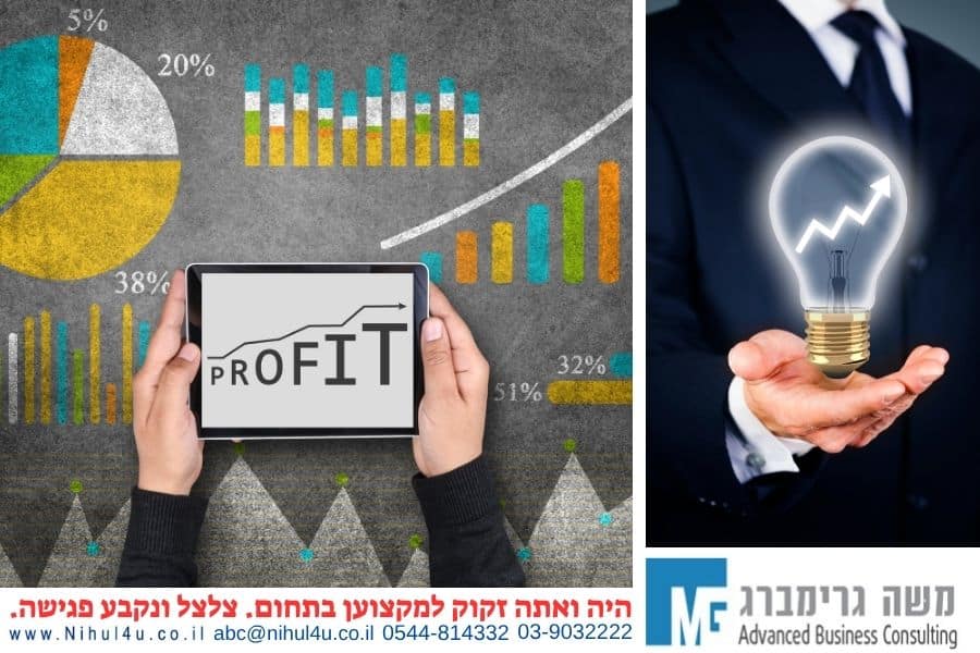 ייעוץ עסקי מקצועי – לשיפור מכירות ורווחיות