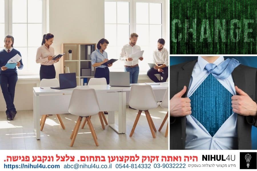 ניהול מטריציוני – מהו?
