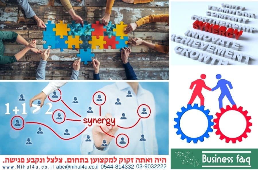 סינרגיה – בניהול ובעסקים.