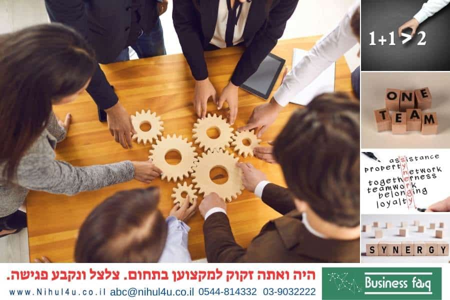 מודל הניהול הסינרגטי: הדרך להצלחה עסקית