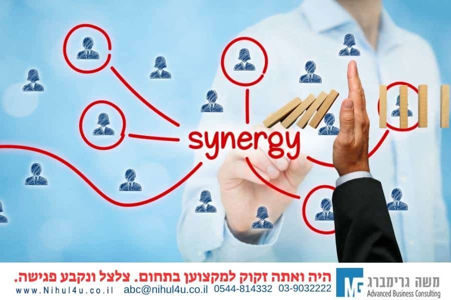 סינרגיה בניהול צוותים | מדריך לזמני משבר | משה גרימברג