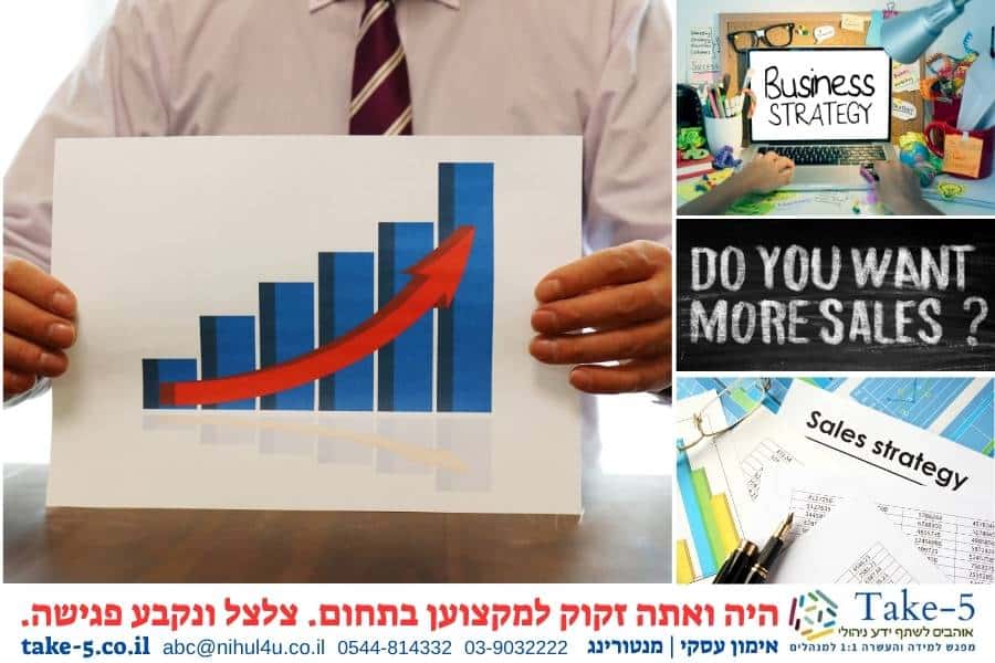 ייעוץ עסקי: 7 אסטרטגיות להגדלת המכירות