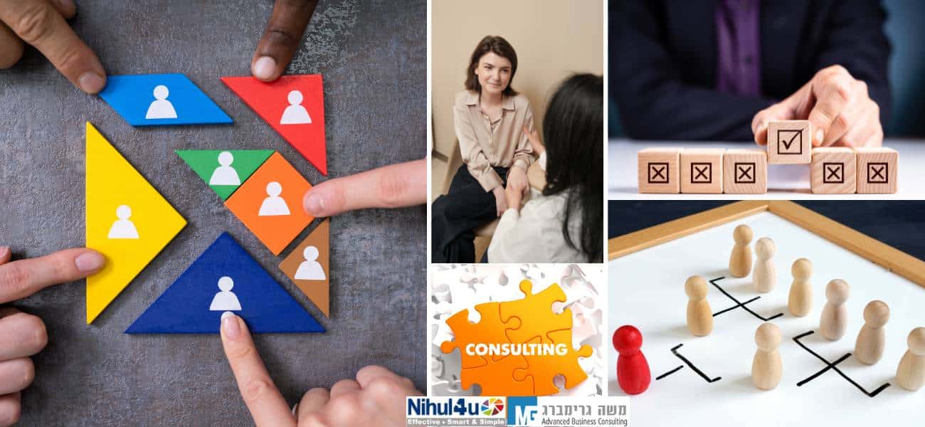 מהו תהליך נכון של ייעוץ ארגוני?