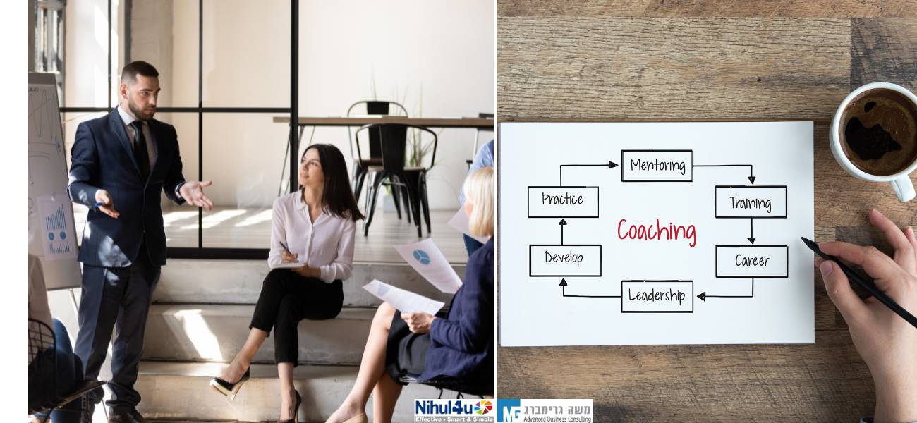 אימון עסקי ומנטורינג
