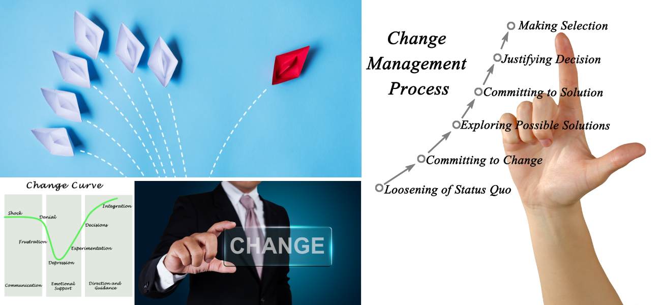 ניהול שינוי ארגוני ומבני - משה גרימברג