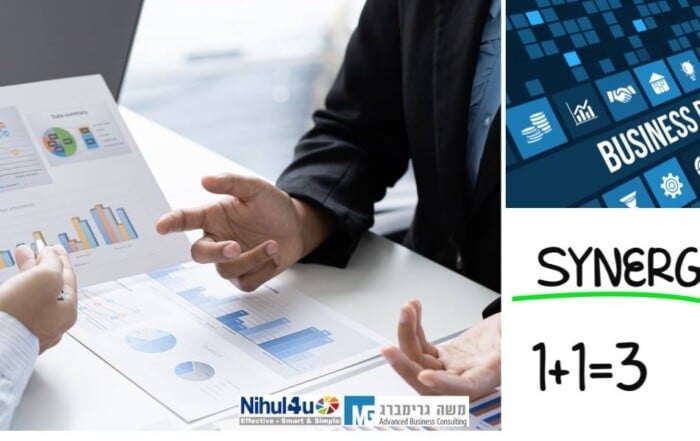 מהי סינרגיה מנצחת בין שיווק ופיתוח עסקי ?