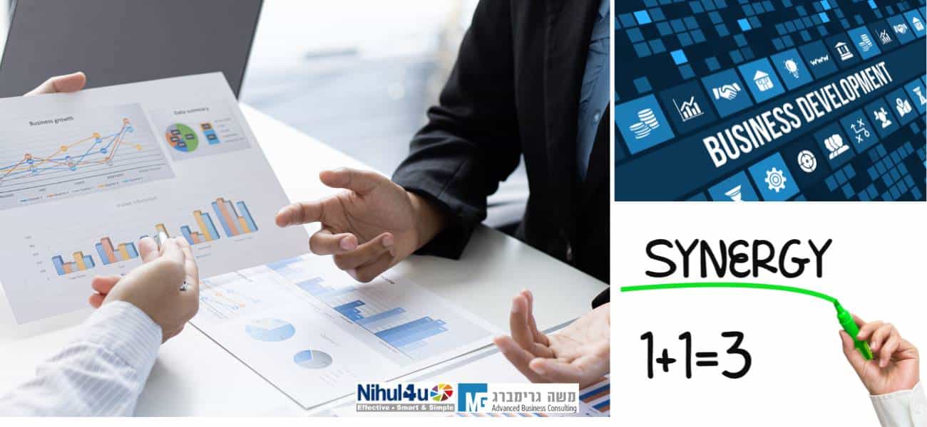 פיתוח עסקי ושיווק – איך יוצרים סינרגיה מנצחת?