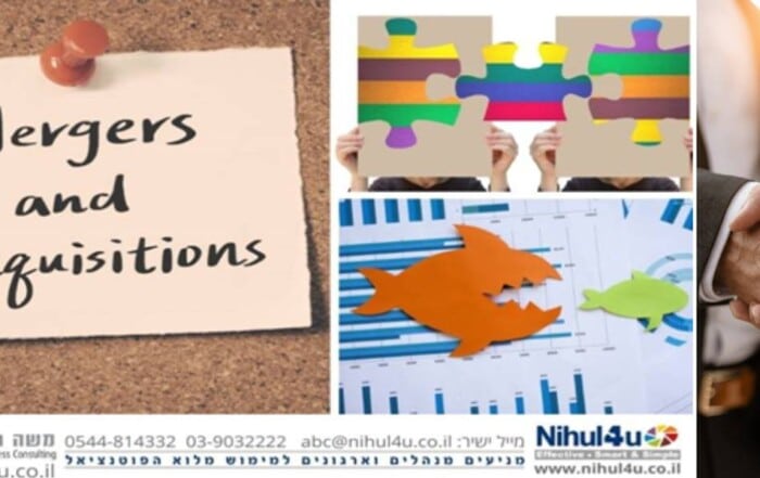 מיזוגים ורכישות מול צמיחה אורגנית- מה עדיף?