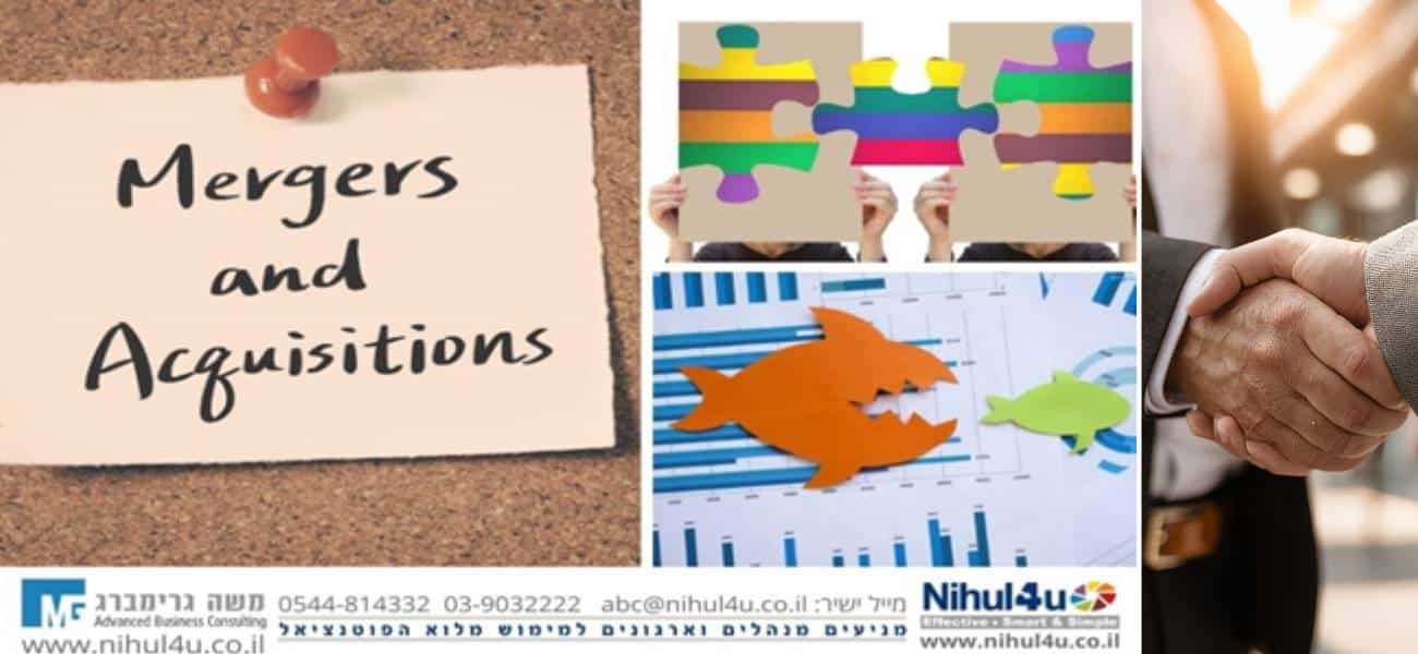 צמיחה אורגנית מול רכישות ומיזוגים – המדריך לבחירה נכונה