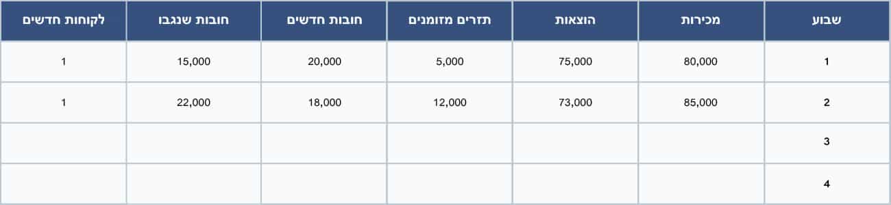 לוח מעקב אחרי ביצועים עסקיים